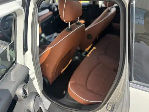 MINI 2021
