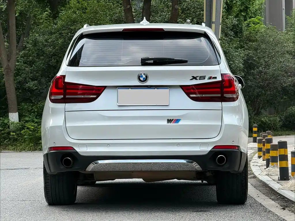 BMW X5 2014 — фото 5