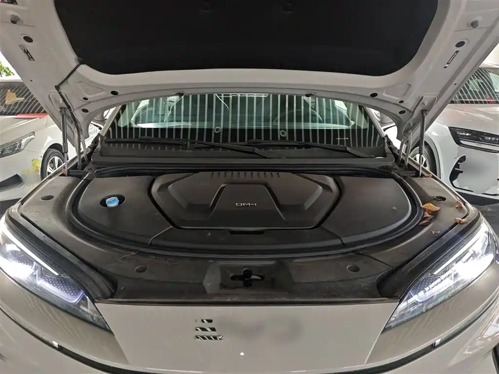 BYD Sealion 07 DM-i 2025 — фото 20