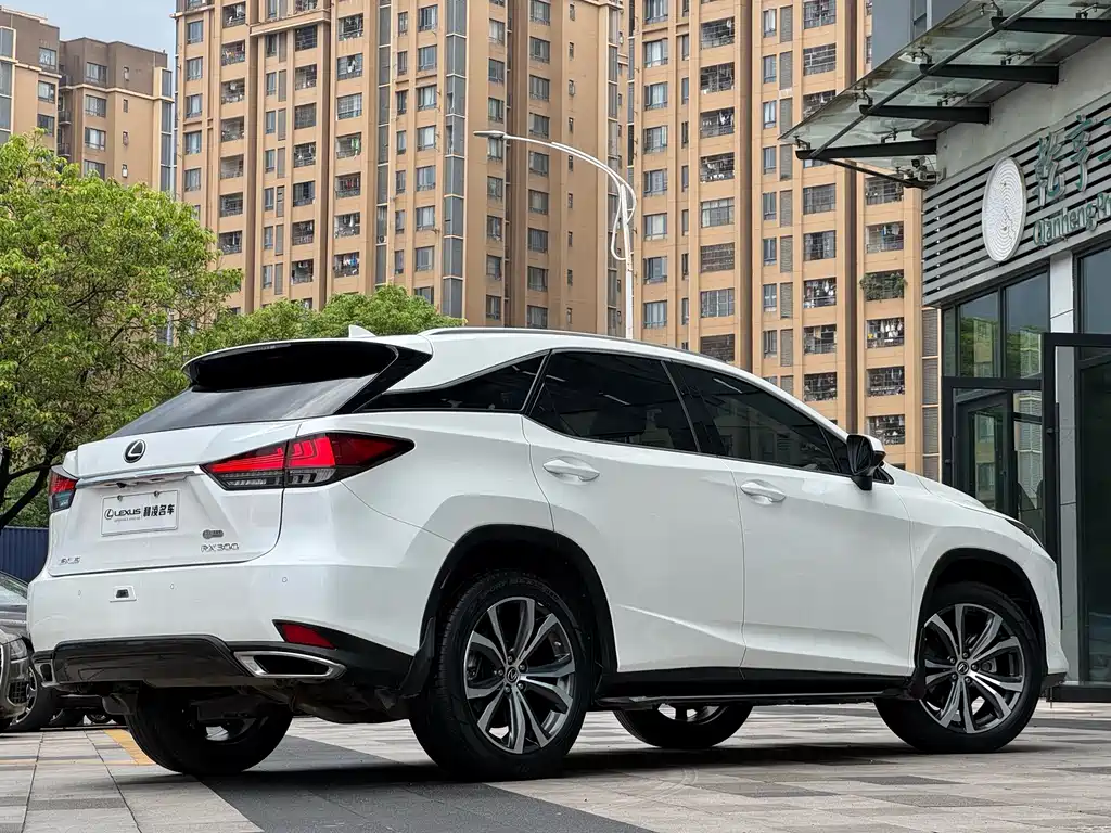 Lexus RX 2022 — фото 6