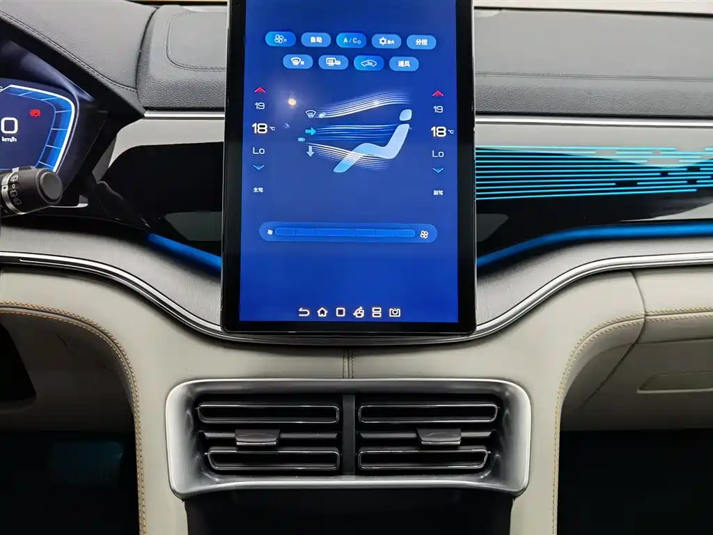 BYD PLUS New Energy 2024 — фото 12