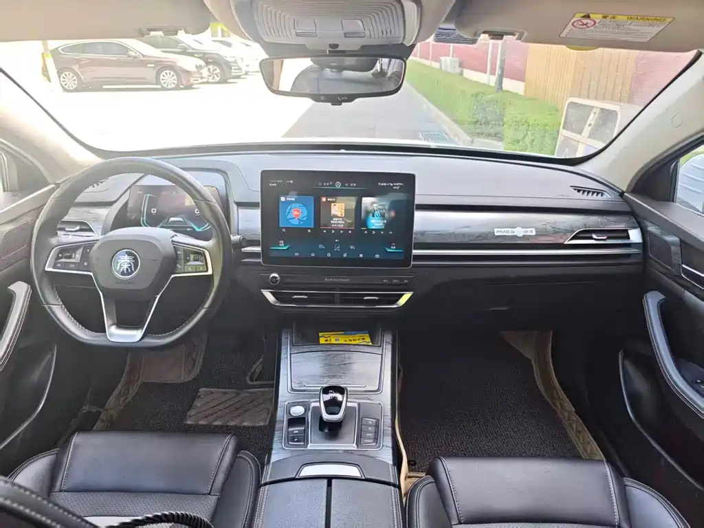 BYD Qin Pro NEV 2018 — фото 3