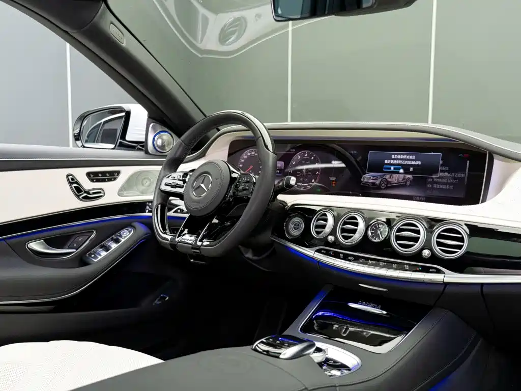 Mercedes-Benz S-Class AMG 2020 — фото 18