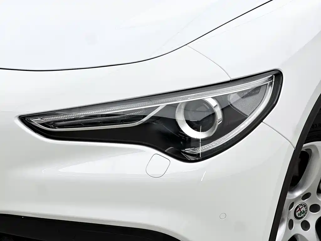 Alfa Romeo Stelvio 2019 — фото 10