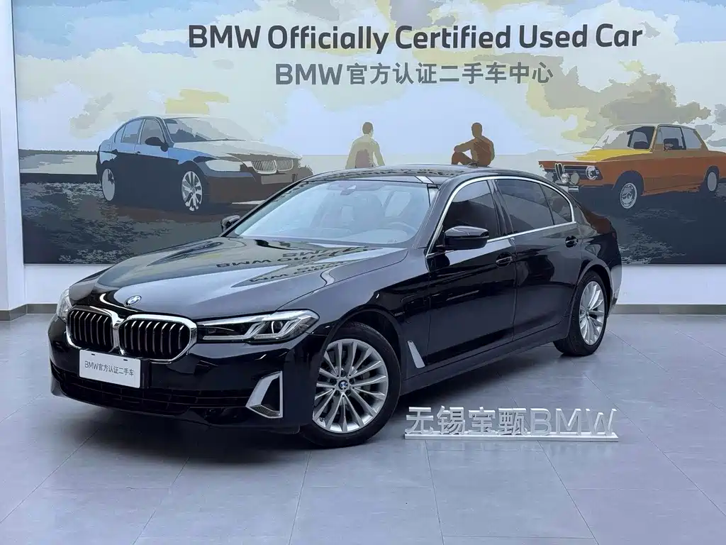 BMW 5 Series New Energy 2020