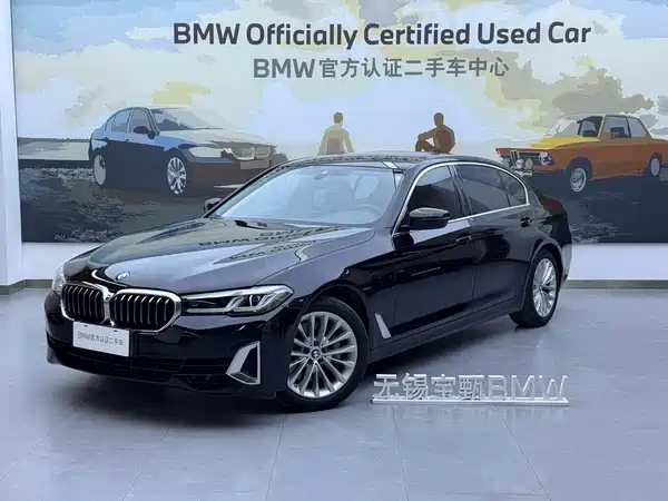 BMW 5 Series New Energy 2020