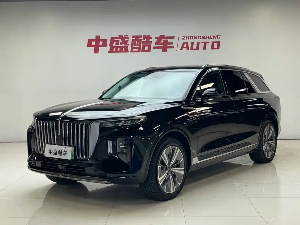 Hongqi E-HS9 2021 — фото 1