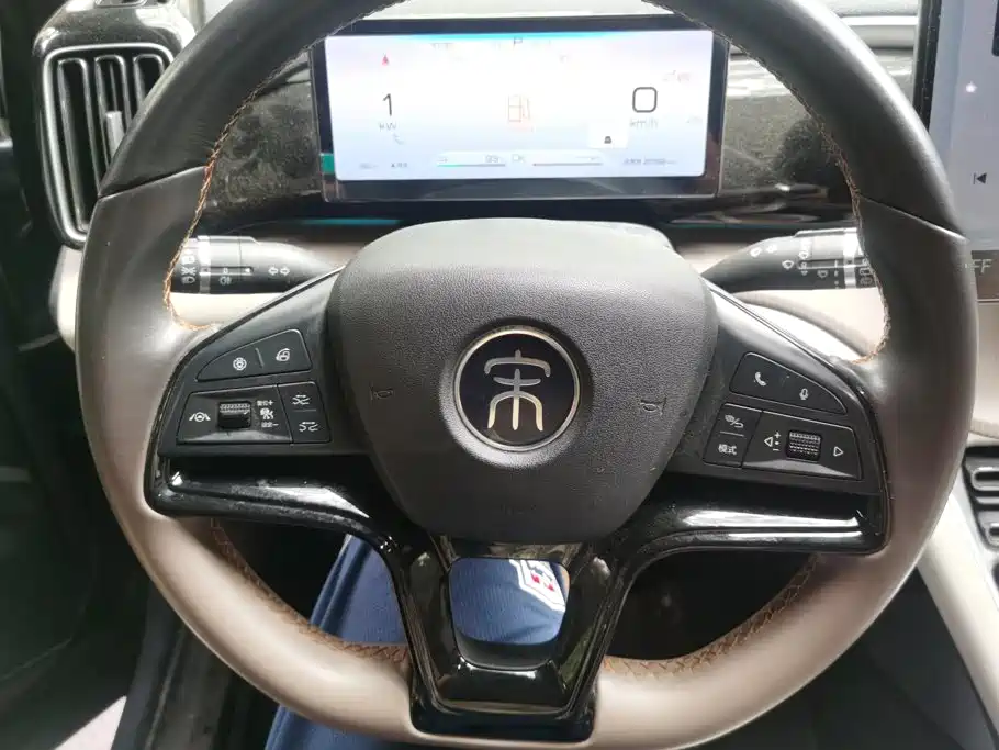 BYD Song Pro New Energy 2024 — фото 15