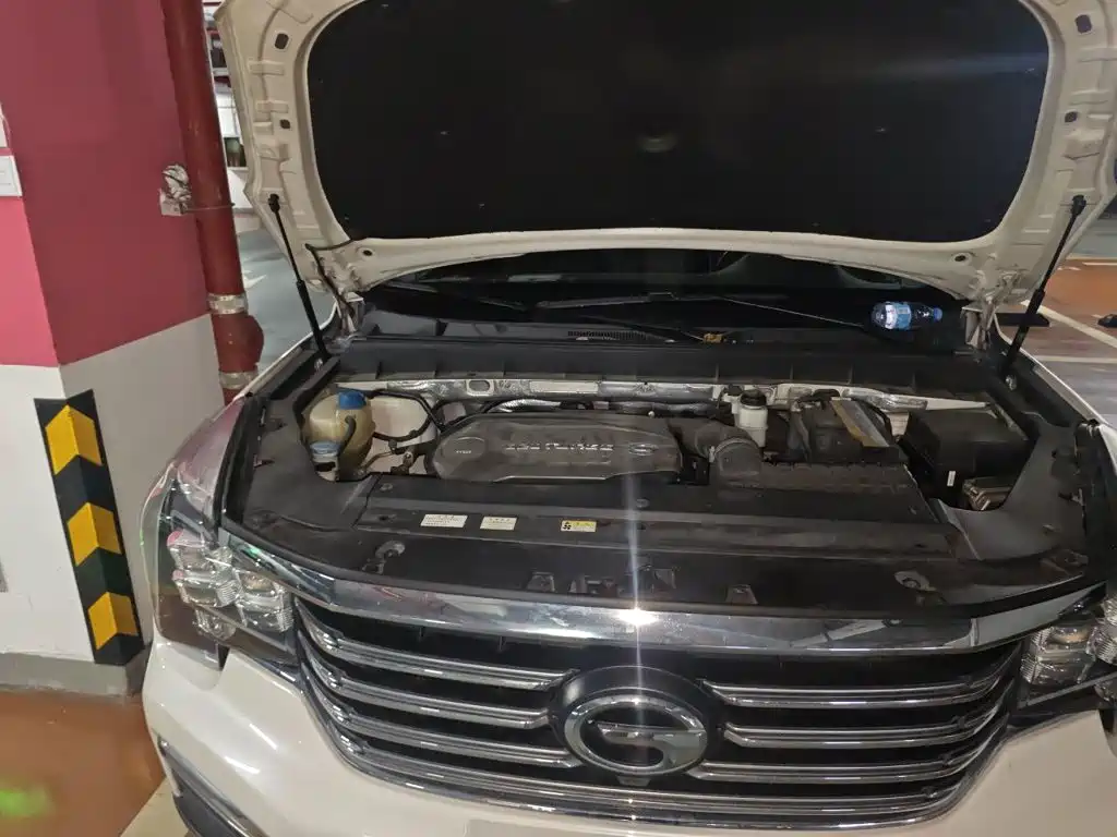 GAC Trumpchi GS8 2017 — фото 21