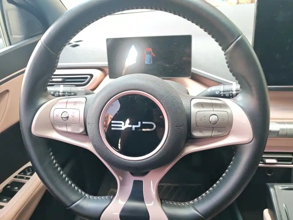 BYD Seagull 2025