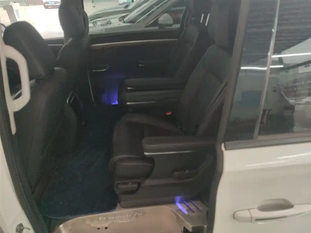 GAC Motor Trumpchi M8 2021 — фото 14