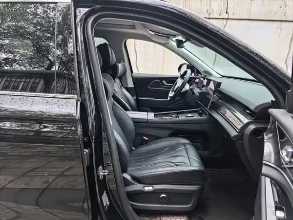 Chery Fengyun T9 2024