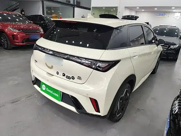 BYD Dolphin 2022