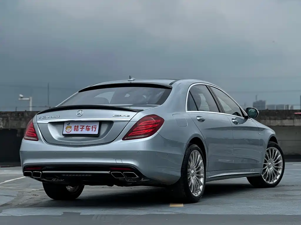 Mercedes-Benz S-Class AMG 2014 — фото 17