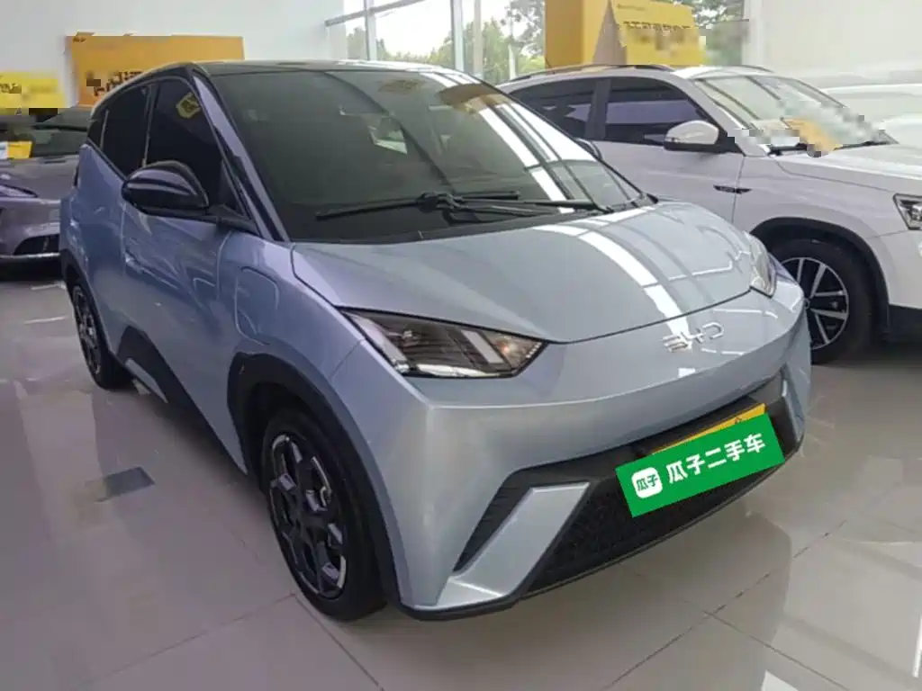 BYD Seagull 2024