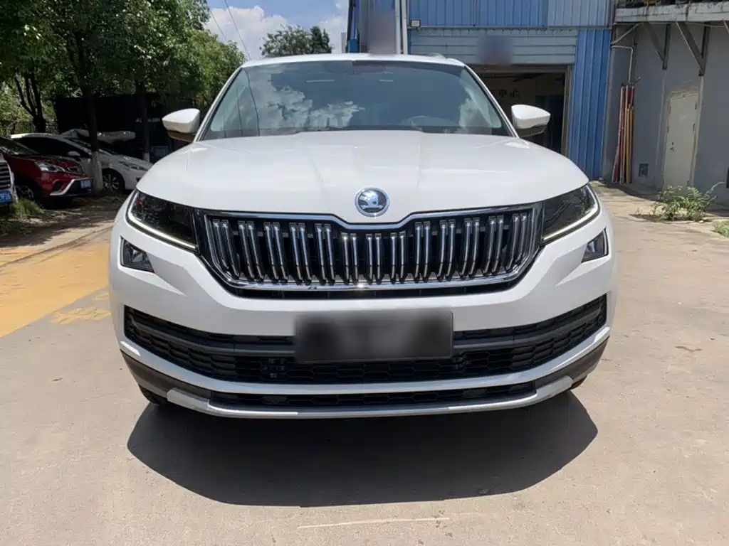 Skoda Kodiaq 2019 — фото 11