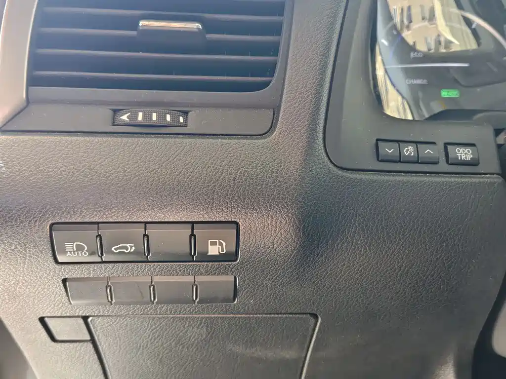 Lexus RX 2020 — фото 13