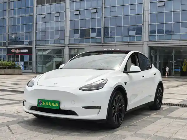 Tesla Model Y 2021