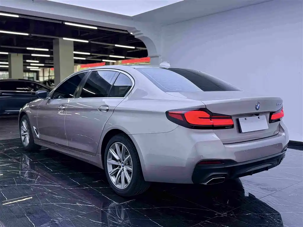 BMW 5 Series 2017 — фото 17