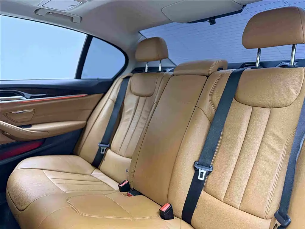 BMW 5 Series 2017 — фото 16