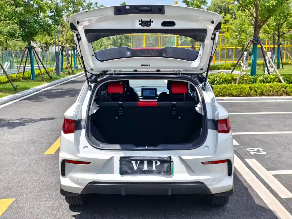 BYD e2 2020