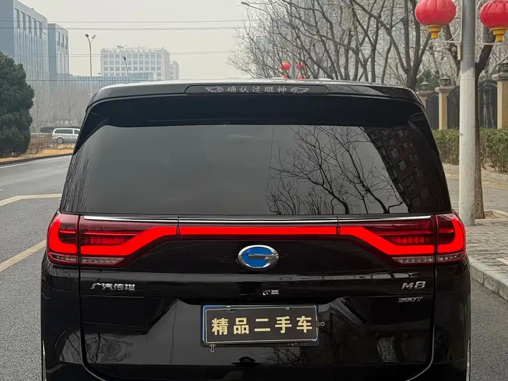 GAC Motor Trumpchi M8 2022 — фото 28
