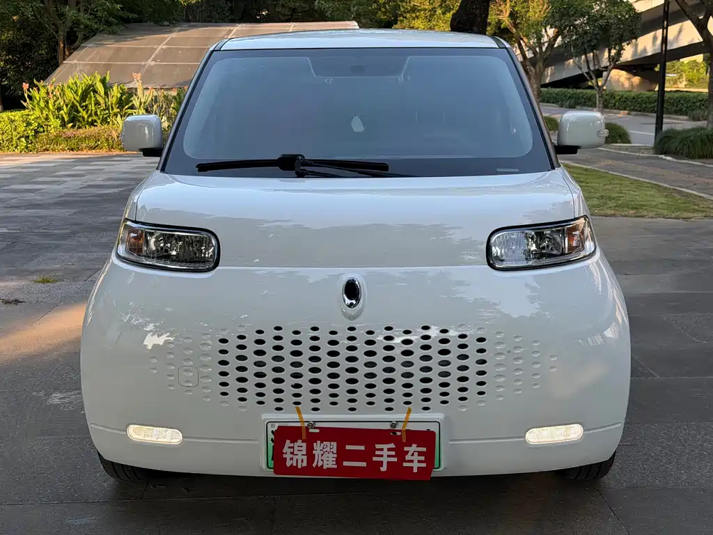 Ora White Cat 2020