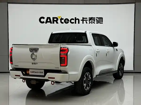 Great Wall Poer 2020