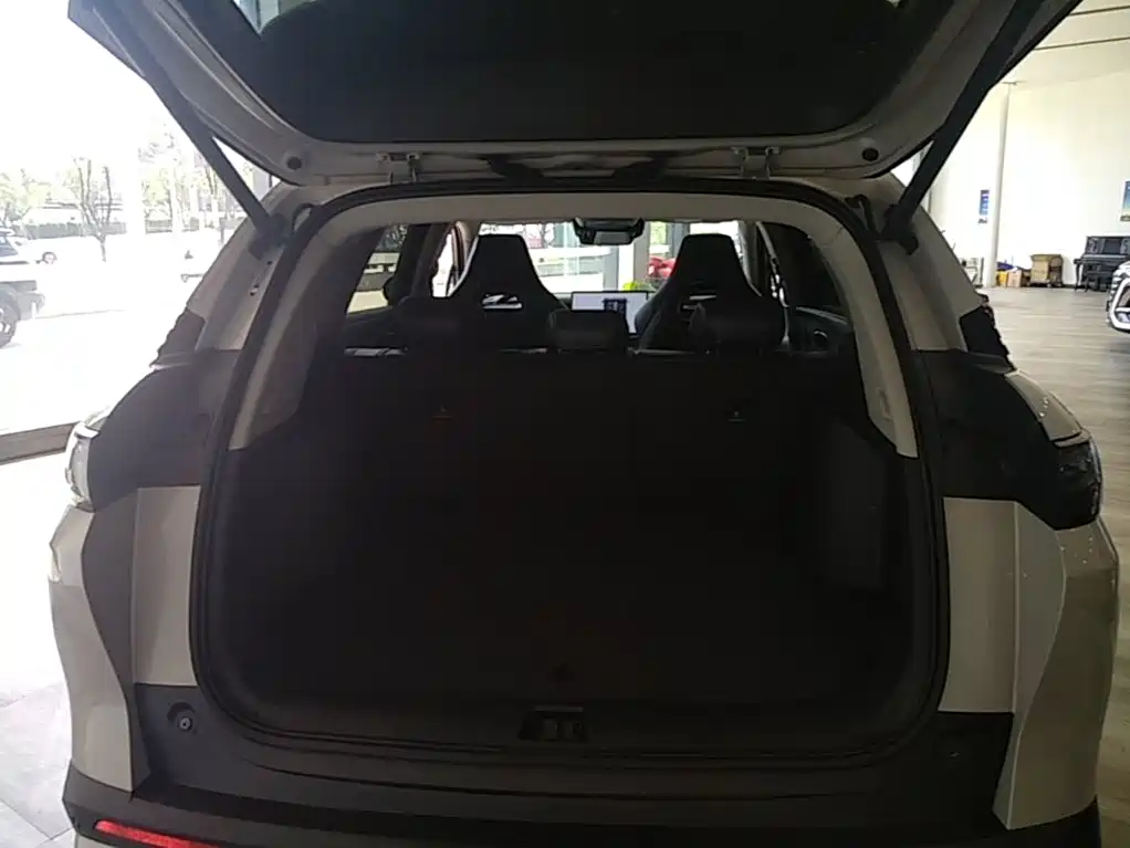 BYD Sealion 07 DM-i 2025 — фото 19
