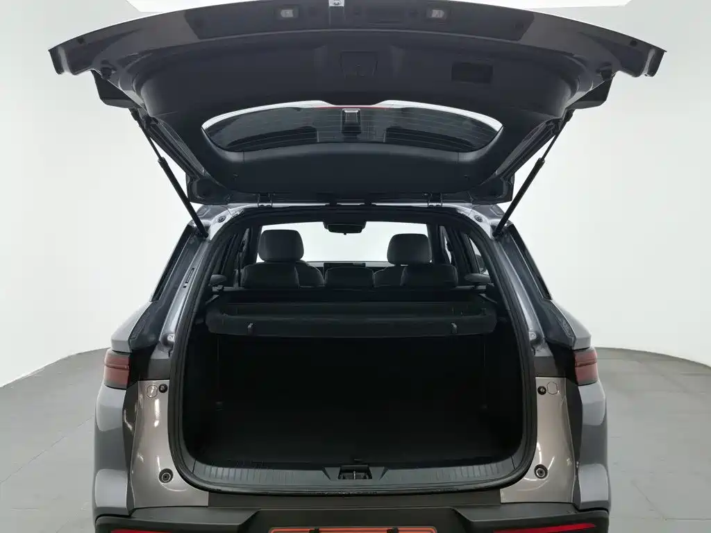 BYD Song Pro New Energy 2025 — фото 16