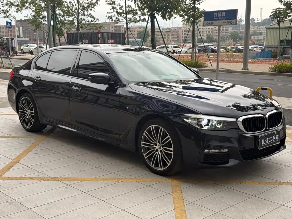 BMW 5 Series 2017 — фото 3