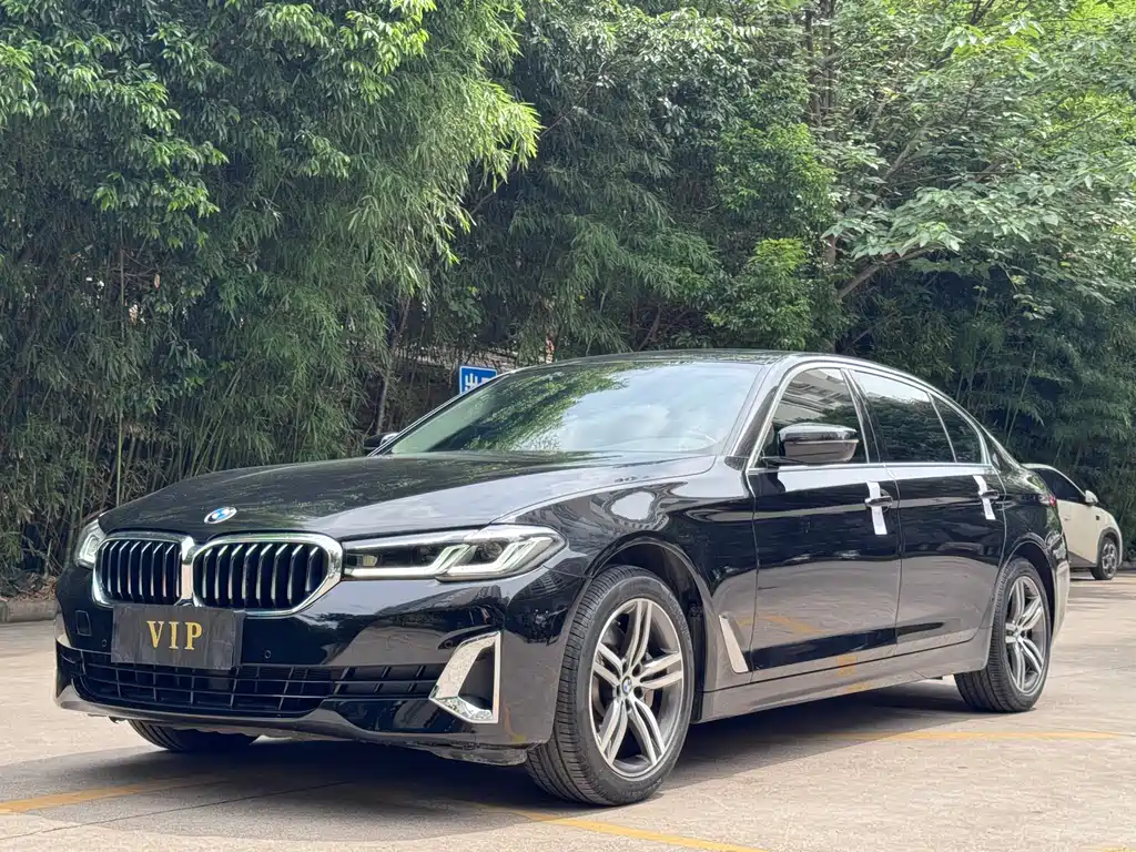 BMW 5 Series 2020