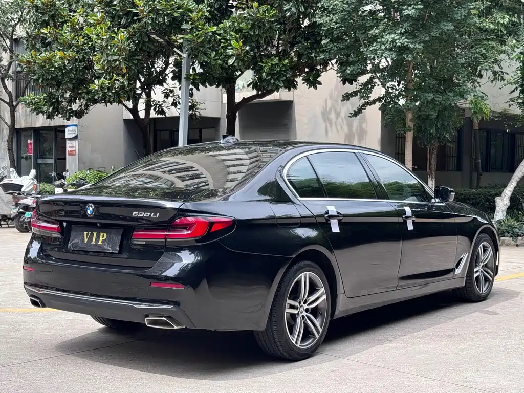 BMW 5 Series 2020 — фото 15