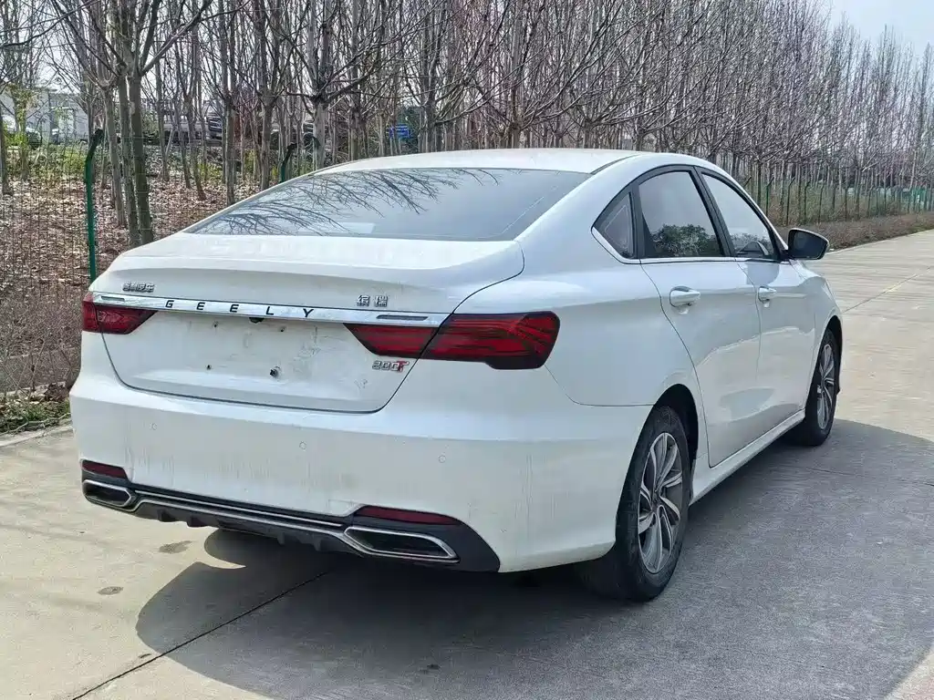 Geely Binrui 2019 — фото 4