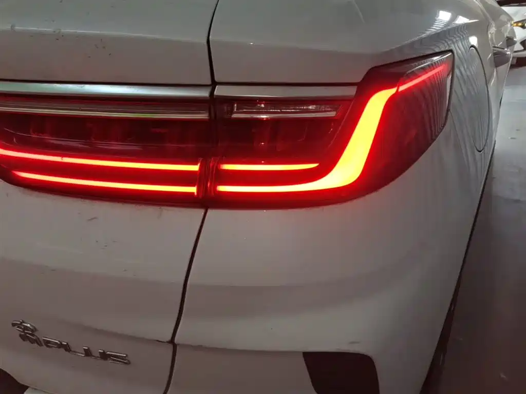 BYD PLUS New Energy 2023 — фото 8