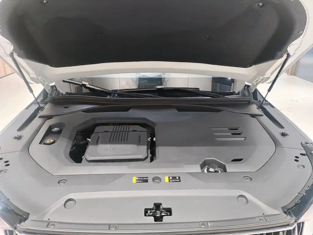 GAC Motor Trumpchi GS8 2022 — фото 15