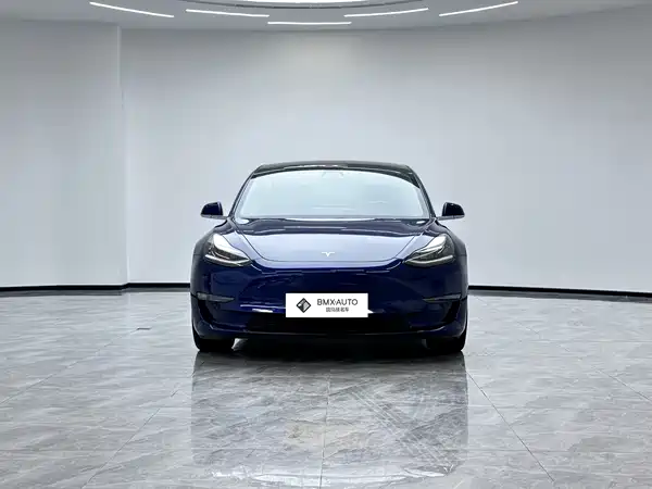 Tesla Model 3 2019