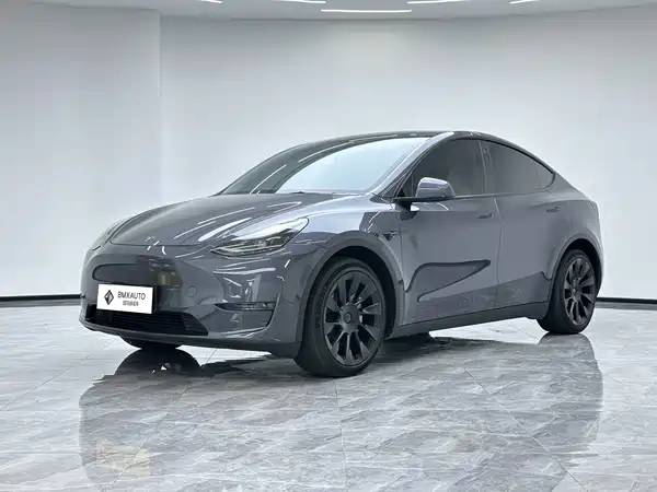 Tesla Model Y 2021