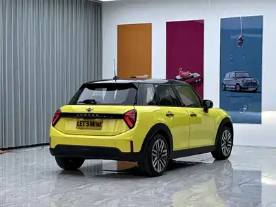 MINI MINI 2025