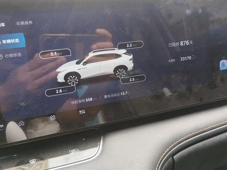 Roewe RX5 New Energy 2024 — фото 13