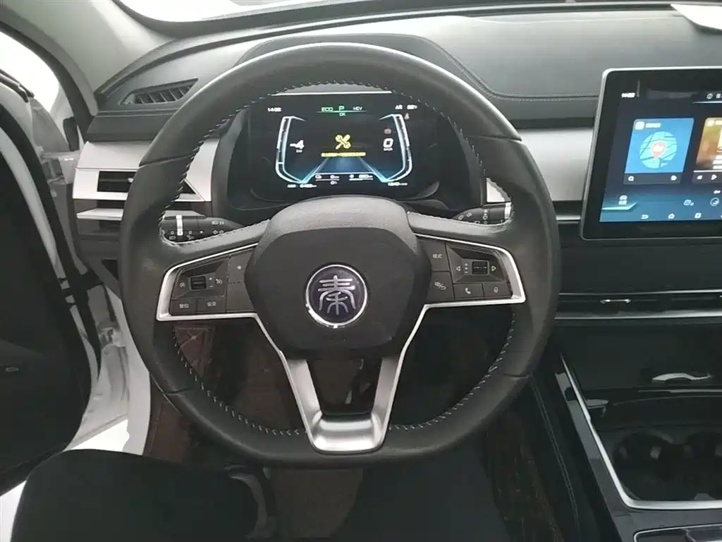 BYD Qin Pro NEV 2020 — фото 11
