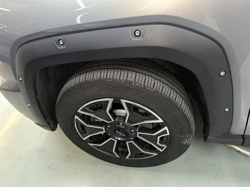 Haval Dargo PLUS EV 2023 — фото 23