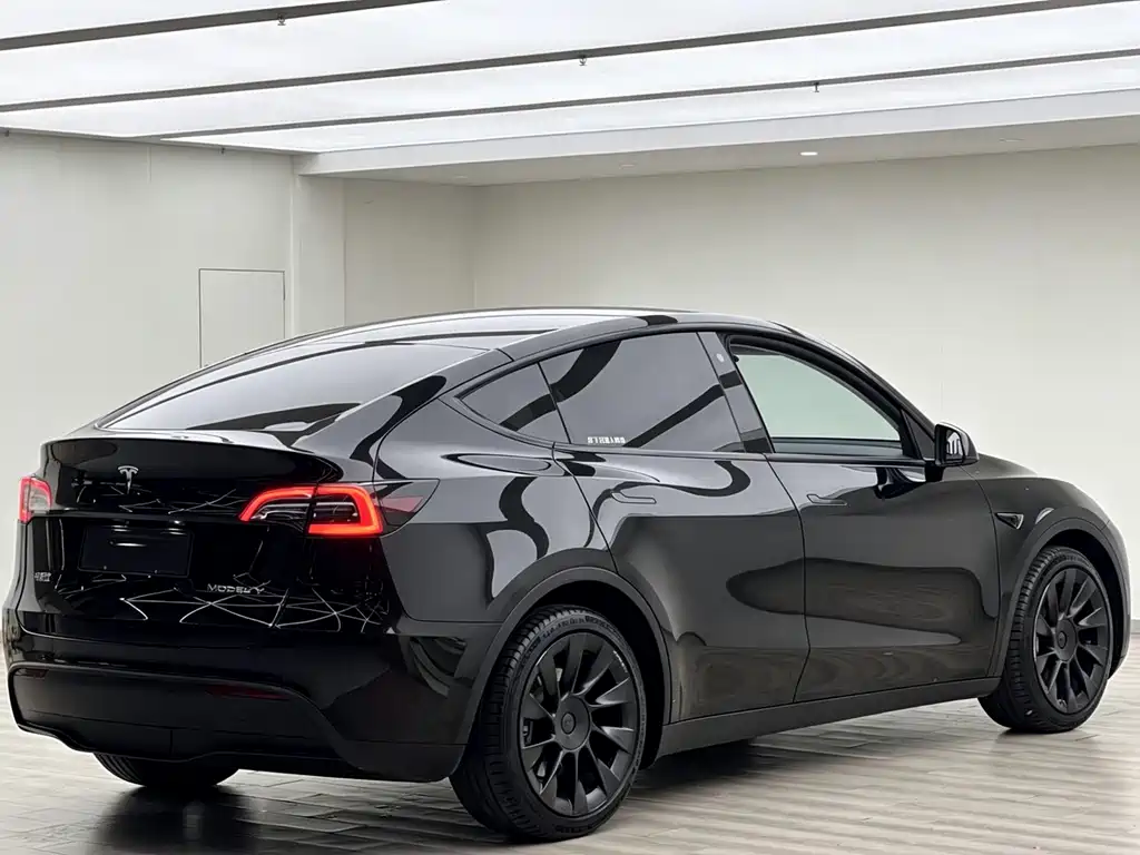 Tesla Model Y 2021 — фото 15