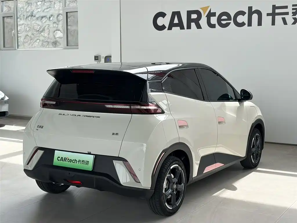 BYD Seagull 2024