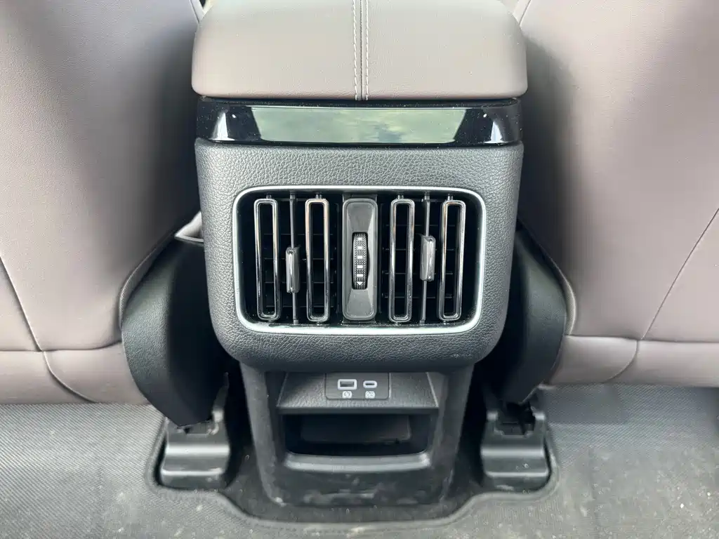 BYD PLUS New Energy 2025 — фото 16