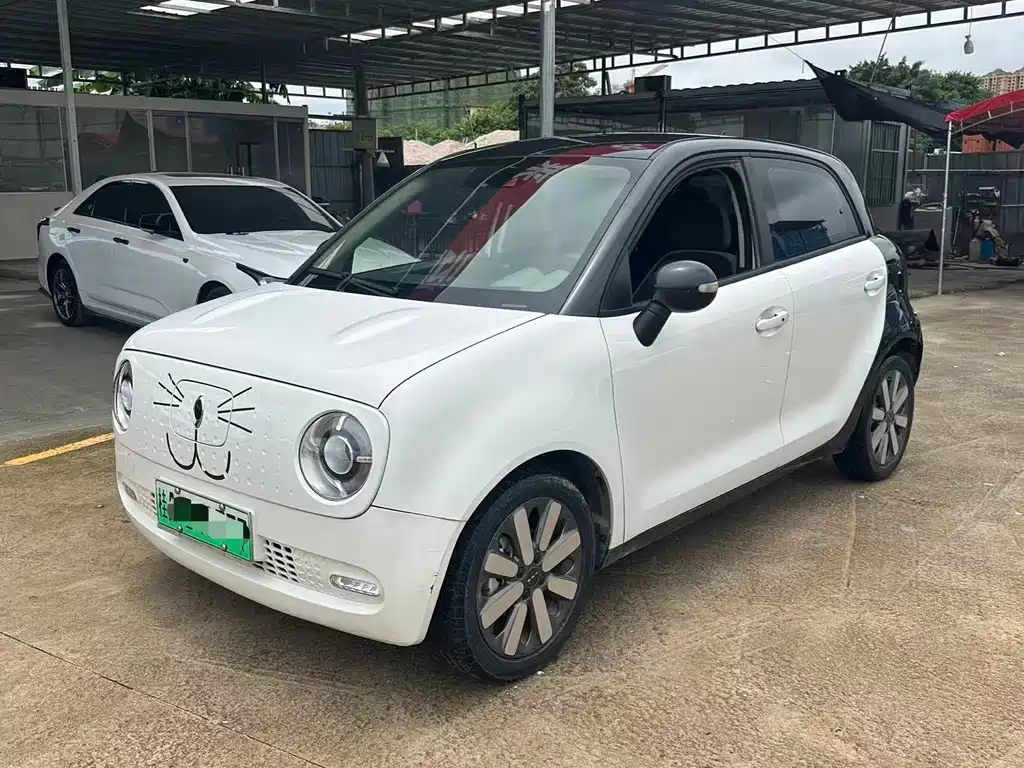 Ora Black Cat 2021