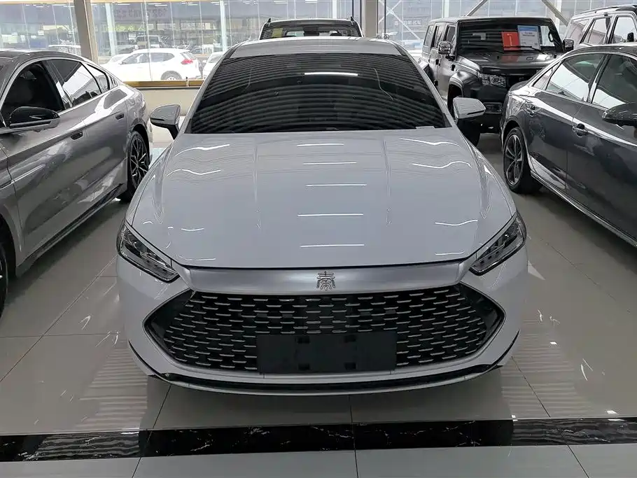 BYD Qin PLUS 2024 — фото 2