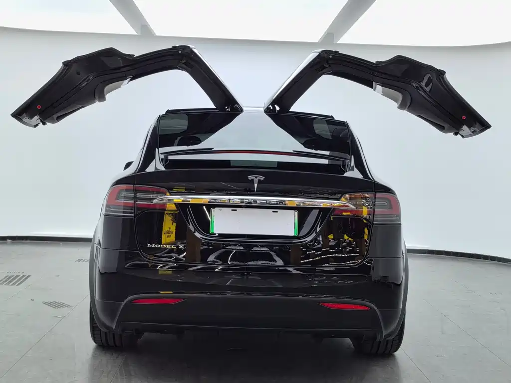 Tesla Model X 2018 — фото 25