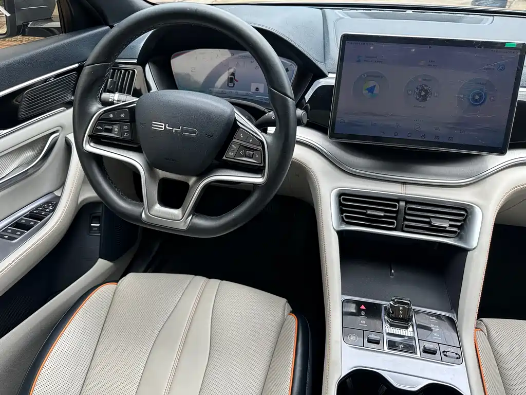 BYD PLUS New Energy 2024 — фото 23