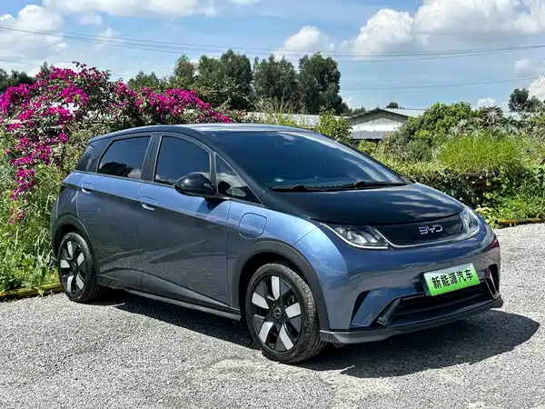 BYD Dolphin 2024